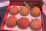 Sự thật về quả vải 181 triệu đồng đang xôn xao mạng xã hội