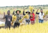 Nghi vấn trang trại của Quang Linh Vlogs ở Angola chỉ là phim trường, trồng lúa để làm content: Thực hư ra sao?