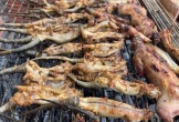 Thử thách lòng gan dạ với đặc sản 'rắn 4 chân' miền Tây