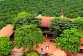 Trang trại rộng hàng chục ha của trùm giang hồ Vi “ngộ