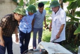 Xuất hiện ổ dịch sốt xuất huyết đầu tiên tại Hà Tĩnh