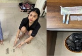 Tạm giam 'hot girl' Nguyễn Thị My sinh năm 2005