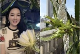 Vườn sân thượng trĩu quả trong biệt thự 1.000m2 của Giáng My