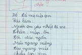 Viết văn tả về người mẹ “không có thật”, cậu bé lớp 2 bị cô giáo chấm 4 điểm