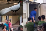 Vụ án 