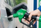 Thí điểm xăng E10 từ 1/8, khuyến cáo người dùng kiểm tra xe trước khi sử dụng