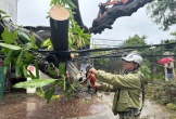 Hà Tĩnh tổn hại nặng nề do bão số 5