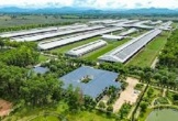 Tăng 4 bậc trong bảng xếp hạng thực phẩm toàn cầu: Vinamilk khẳng định sức mạnh thương hiệu Việt