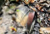 Điều tra, tìm thân nhân một thi thể phân hủy trong bìa rừng