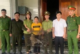 Hà Tĩnh: Người dân giao nộp hai cá thể động vật nguy cấp, quý hiếm