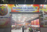 ‘Trường gà quốc tế’ do vợ chồng người Việt điều hành giao dịch trên 1.200 tỉ, khởi tố 196 người