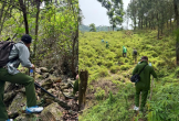 Giám định ADN t.h.i t.h.ể liên quan vụ á.n m.ạ.n.g tại Hà Tĩnh
