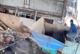 CLIP: Một công nhân bị cuốn vào máy xay, tử vong thương tâm
